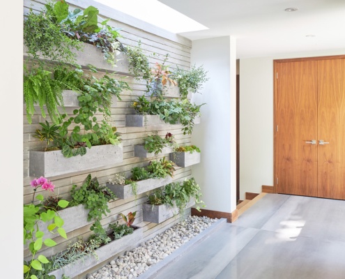 Modern foyer with wood door, skylight and green wall.