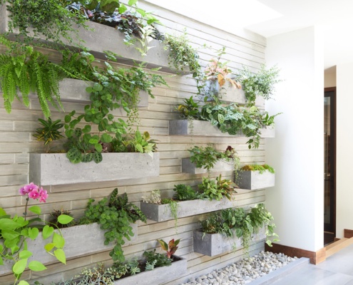 Green wall in modern house with skylight and tile floor.