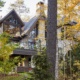 Mississauga with wood soffit, black frame windows and wood siding.